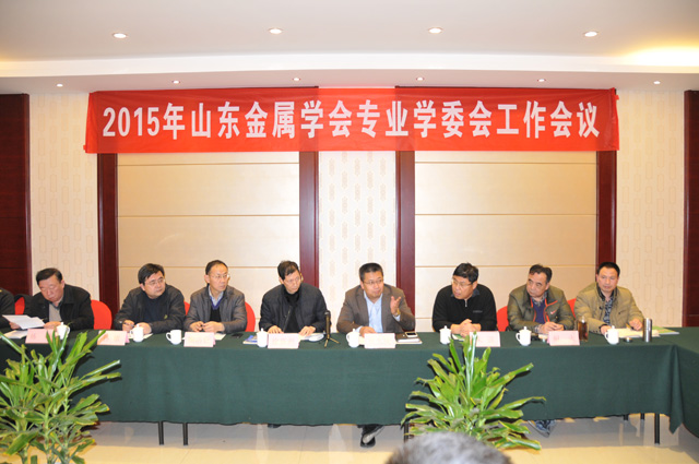 2015年山东金属学会专业学术委员会工作会议在济南召开